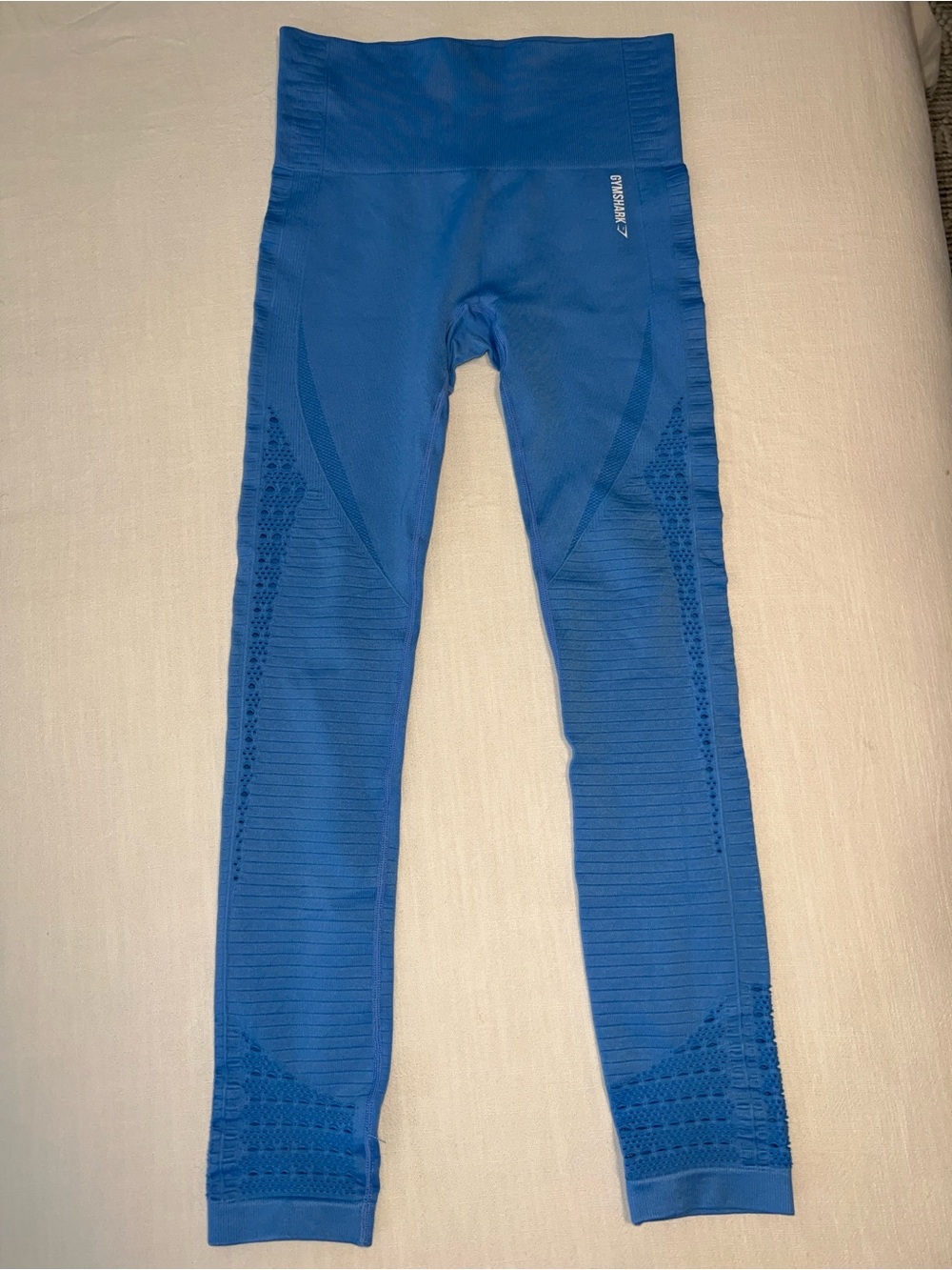 Gymshark Blue Seamless Leggings